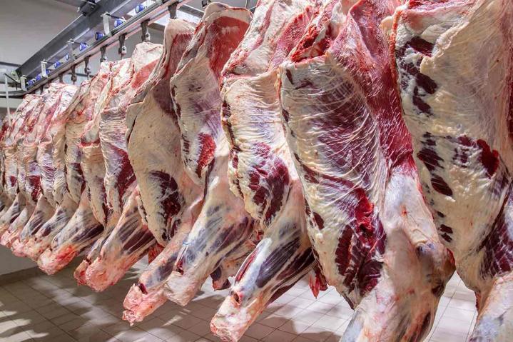 Nous réalisons l’abattage, la découpe et la préparation de la viande dans notre laboratoire intégré à l’exploitation.