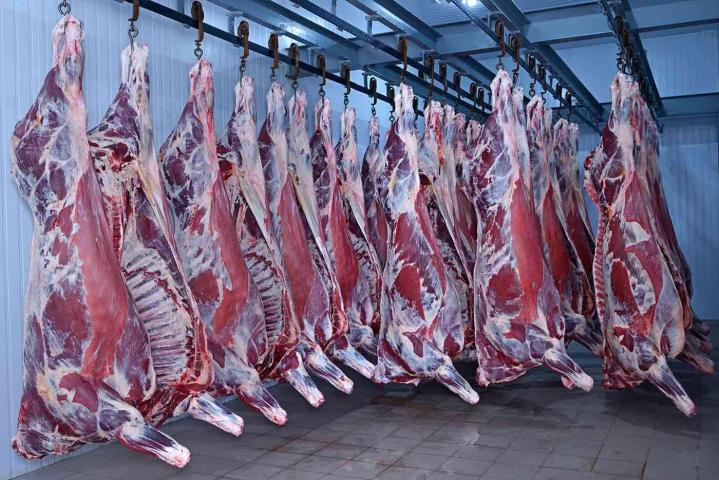 Abattoir Landes